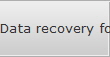 Data recovery for Lebanon data